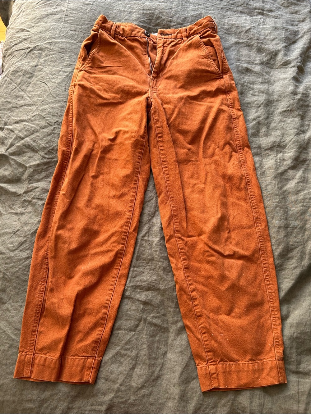 Everlane Utility Barrel Pants in Rust Orange